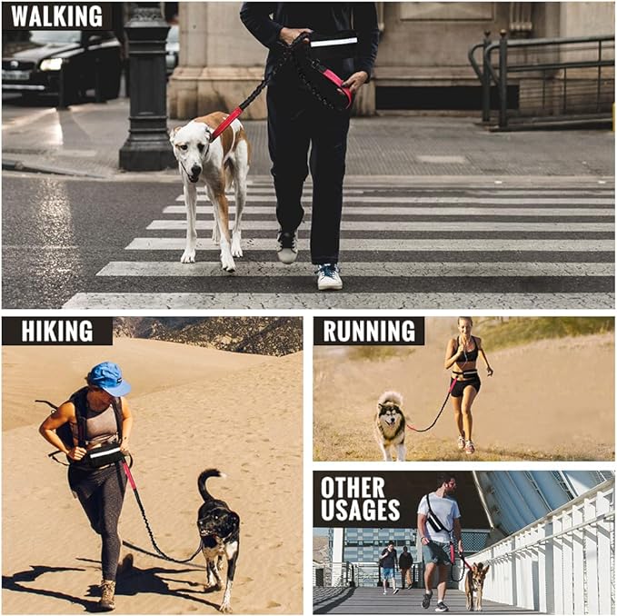 FlowLeash — Experience gentle control and relaxed walks without jerks! | Kalsten