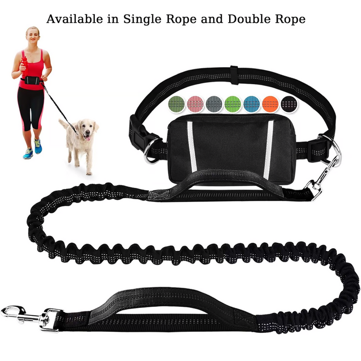FlowLeash — Experience gentle control and relaxed walks without jerks! | Kalsten