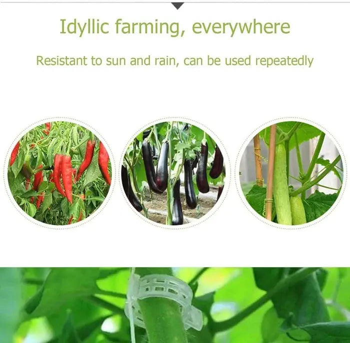 VitaGrip Clips — Strong hold for majestic plants that grow and thrive proudly | Kalsten