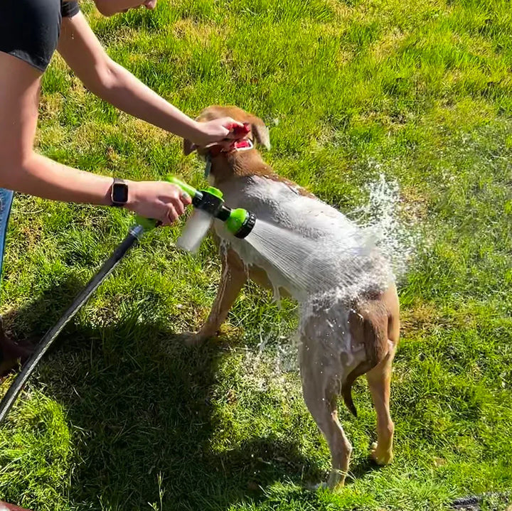 Dogjet Pro™ - Effortlessly wash your dog in record time! Noxord