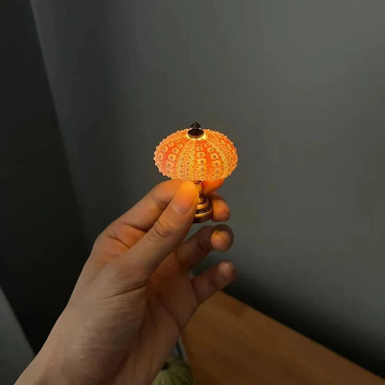 LumiCraft – Unique DIY table lamp with natural sea shell for a cozy décor | Kalsten