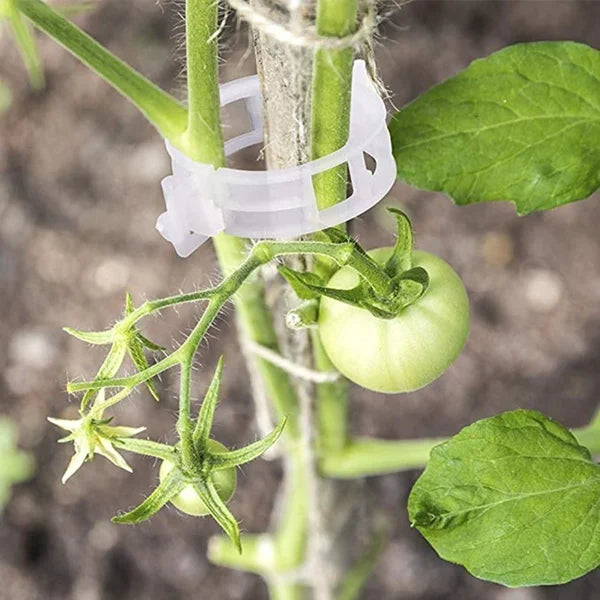 GripKing Clips — Keep your plants strong and discover effortless, healthy growth! | Kalsten