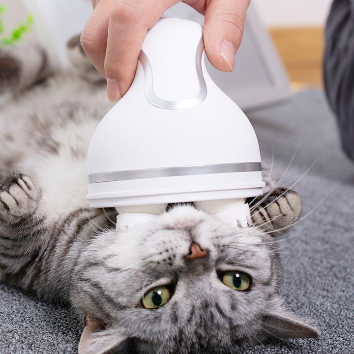 Electric Cat Massager | Kalsten