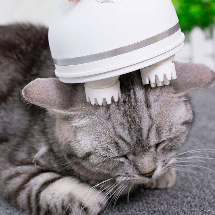 Electric Cat Massager | Kalsten