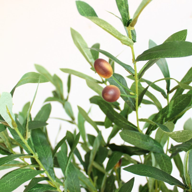 Lifelike Olive Branch Arrangement
