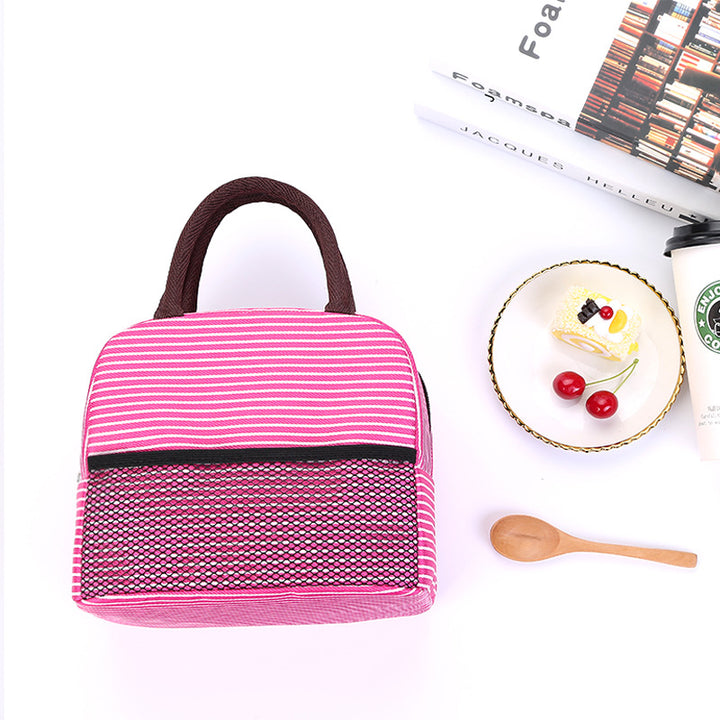 Stylish Insulated Lunch Carrier