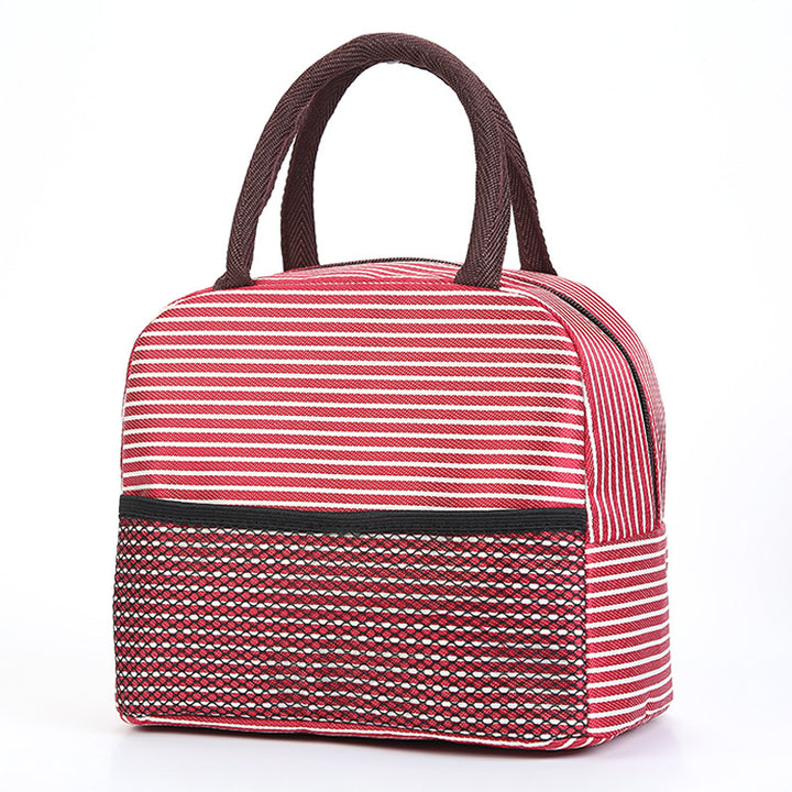 Stylish Insulated Lunch Carrier