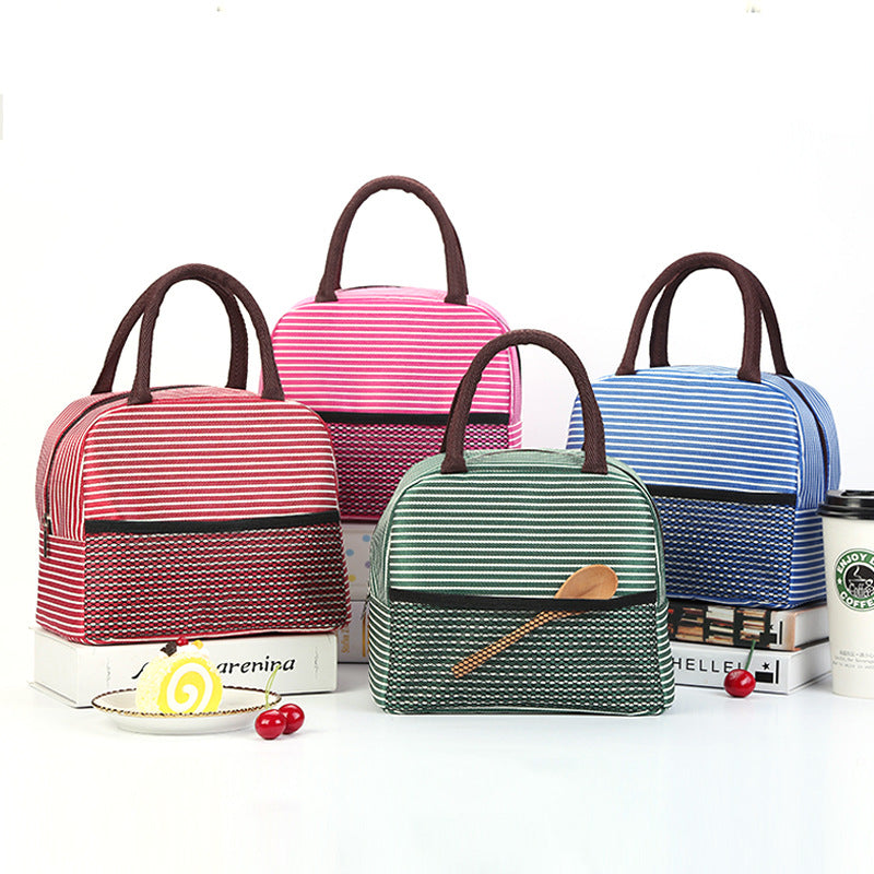 Stylish Insulated Lunch Carrier