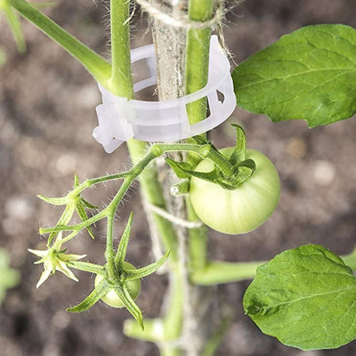 Practical Plant Support Clip | Kalsten