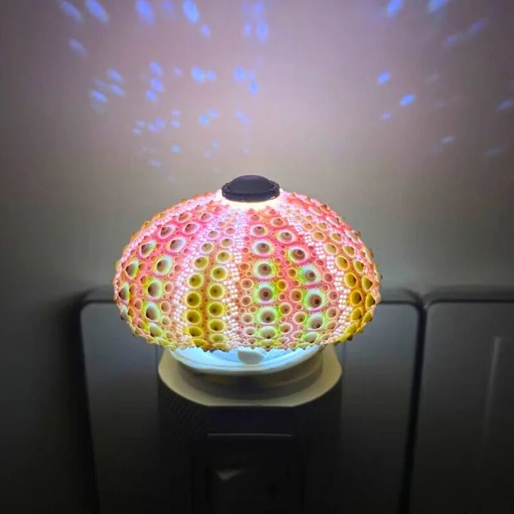 Kalsten | LumiCraft – Unique DIY table lamp with natural sea shell for a cozy décor