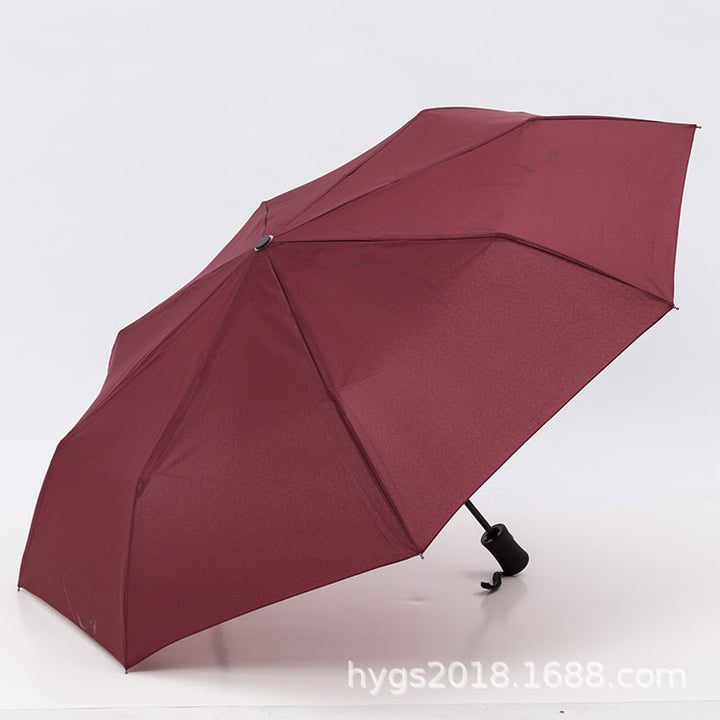 Women Automatic Umbrella Kalsten