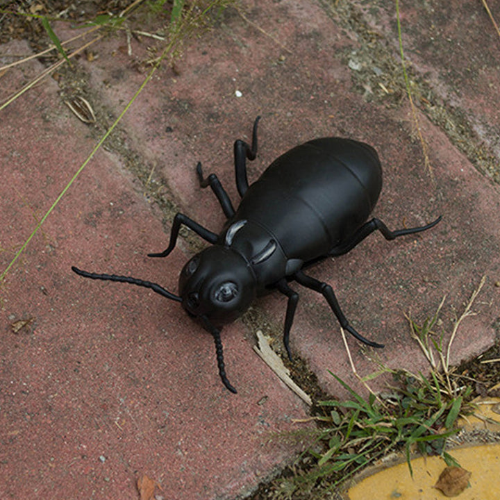 Kalsten | Remote Control Electric Animal Toy