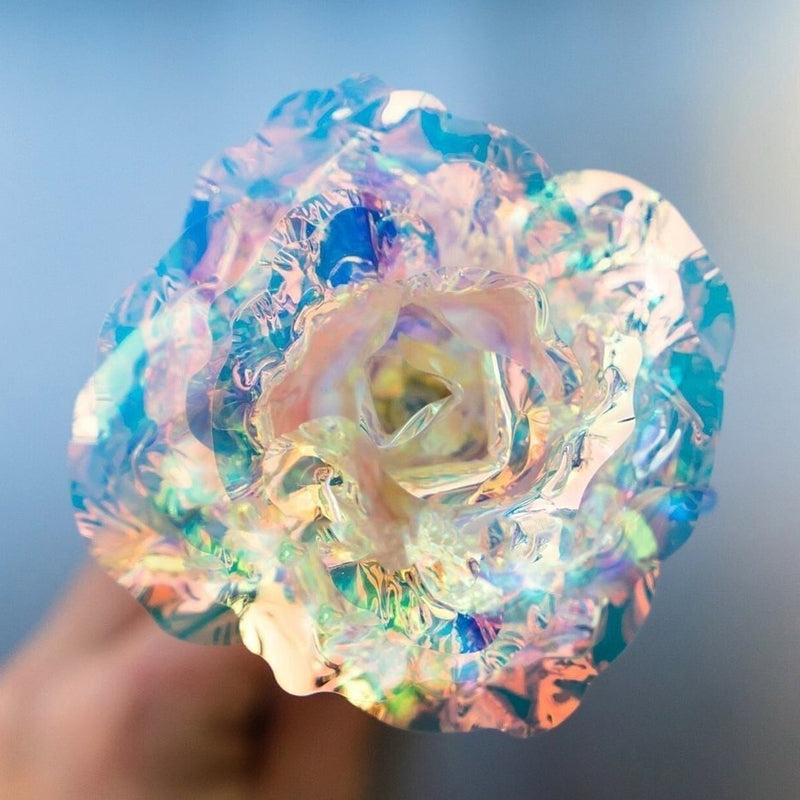 Kalsten | Shiny Sleeping Rose Valentine's Day