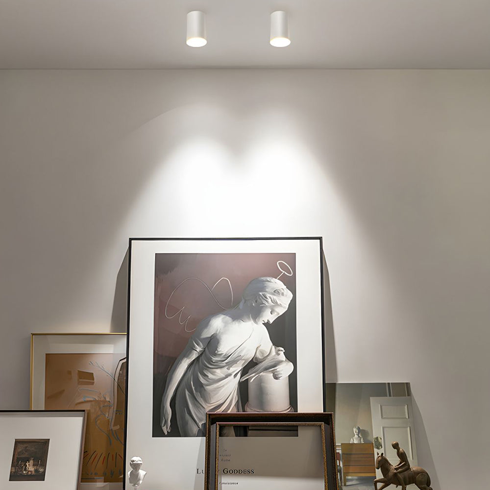 Aluminum LED Ceiling Downlight Noxord