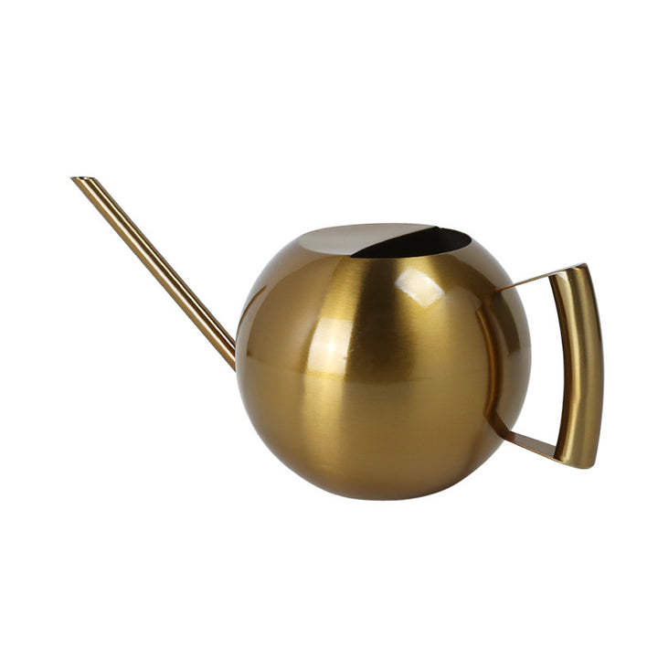 Stylish Watering Can
