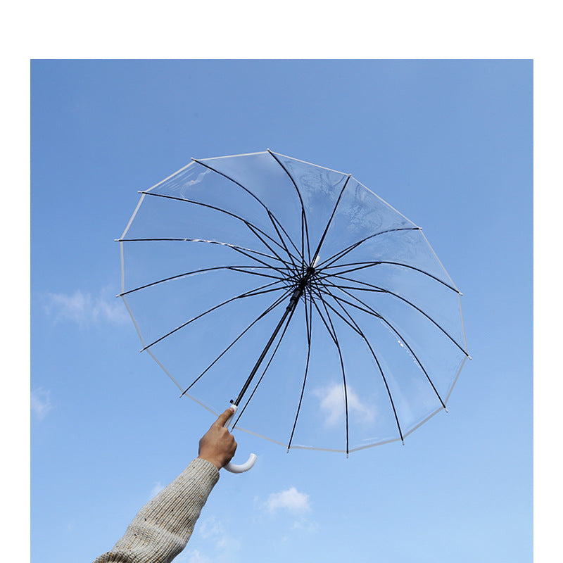 Ladies Transparent Umbrella with Elegant Design Kalsten