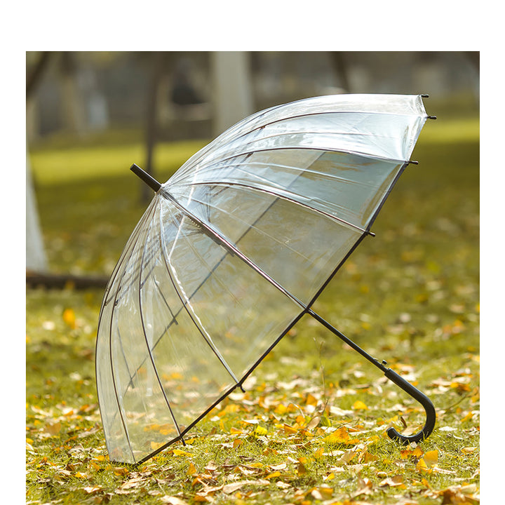 Ladies transparent wind and rain umbrella Kalsten