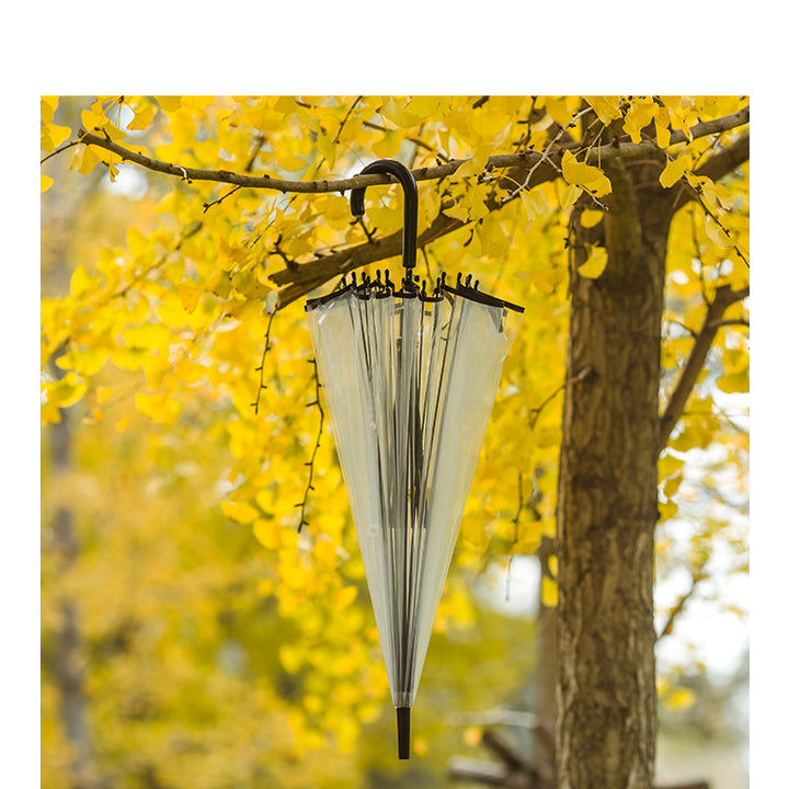 Ladies transparent wind and rain umbrella Kalsten