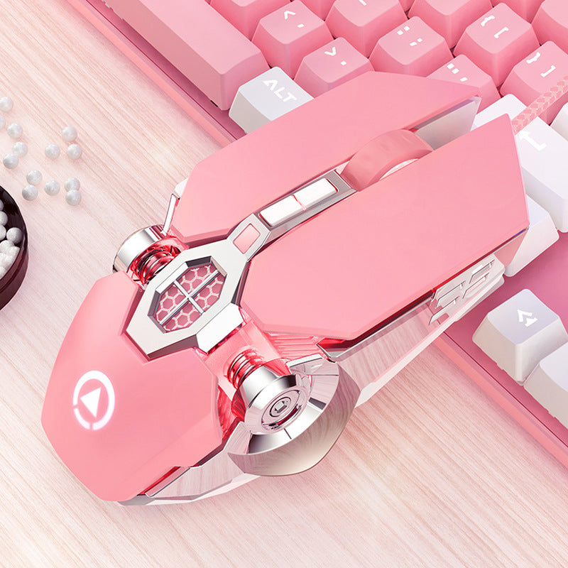 Wireless Gaming Mouse Kalsten