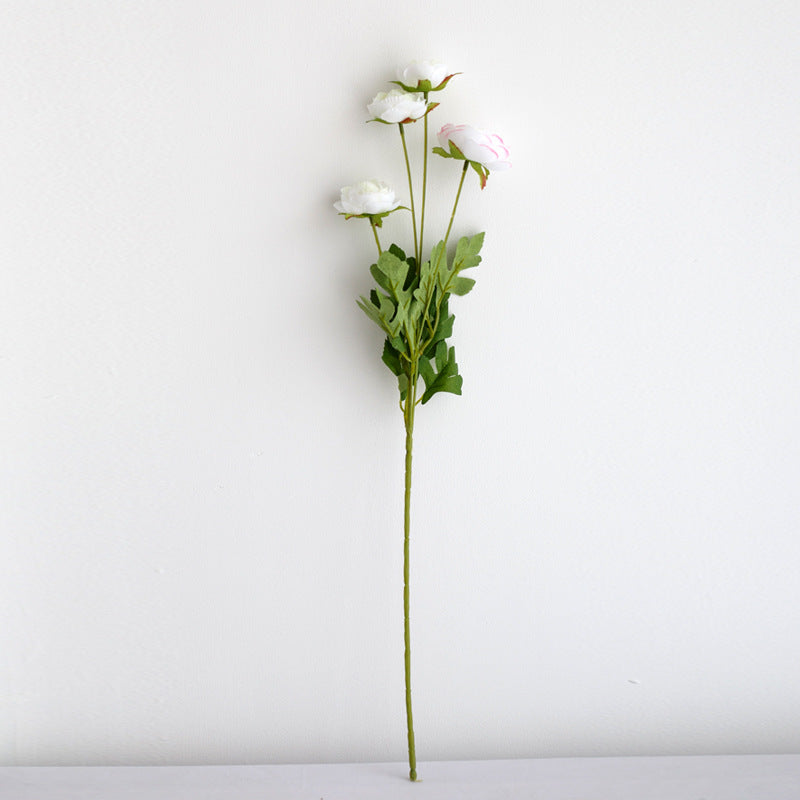 Realistic Peony Flower Stem