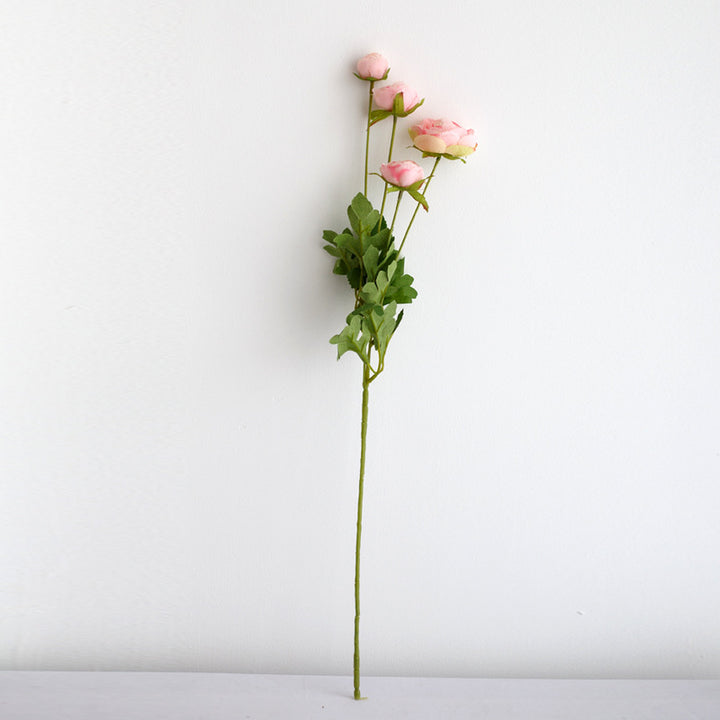 Realistic Peony Flower Stem
