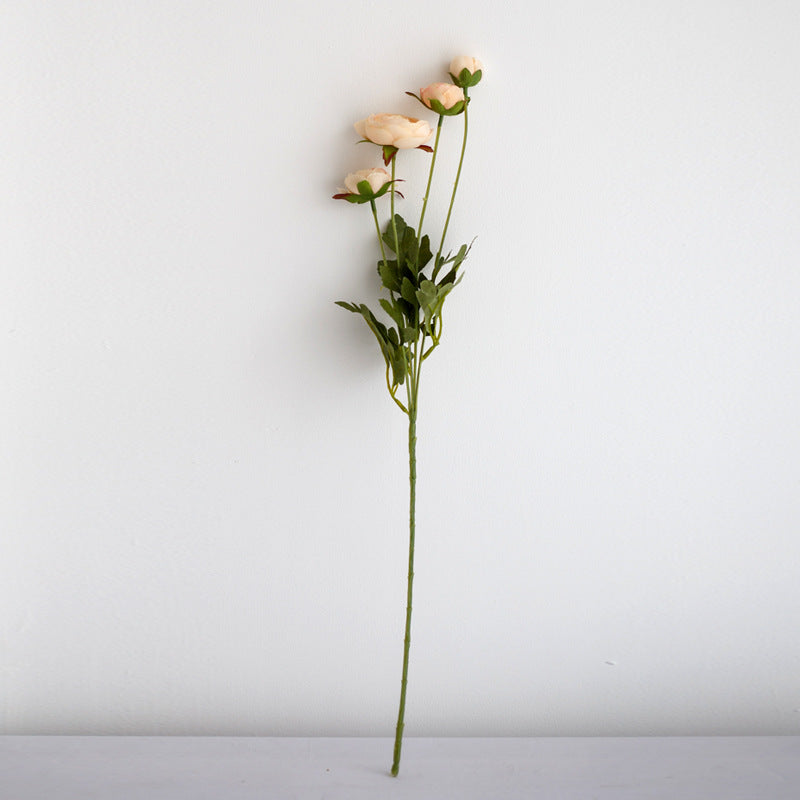 Realistic Peony Flower Stem