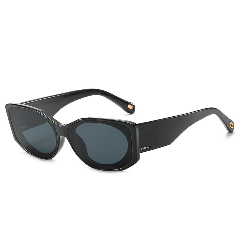 Transparent Oversized Sunglasses Kalsten