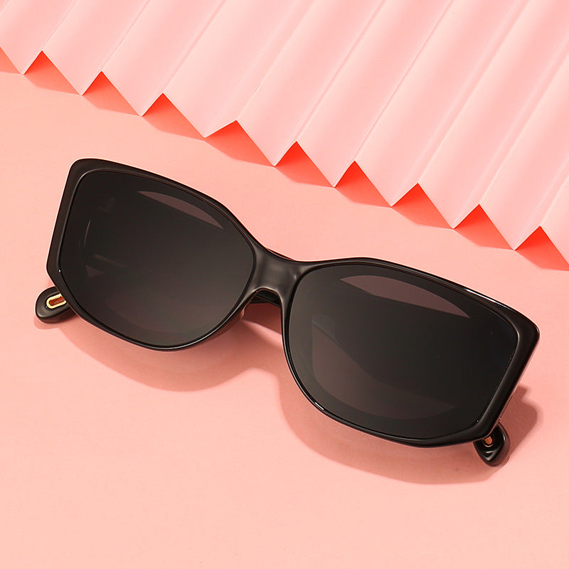 Transparent Oversized Sunglasses Kalsten