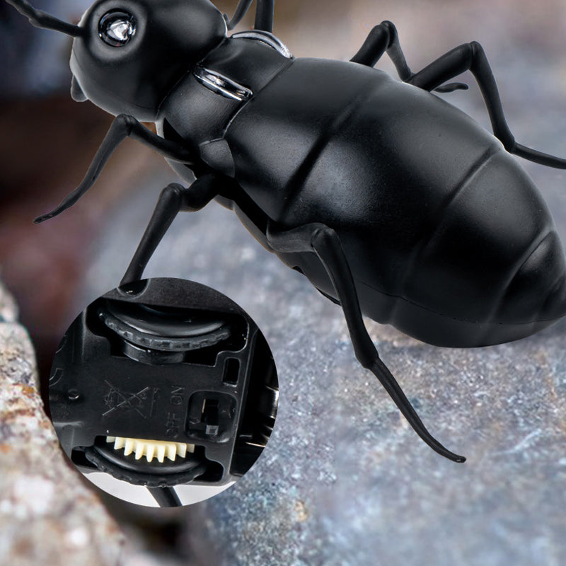 Kalsten | Remote Control Electric Animal Toy