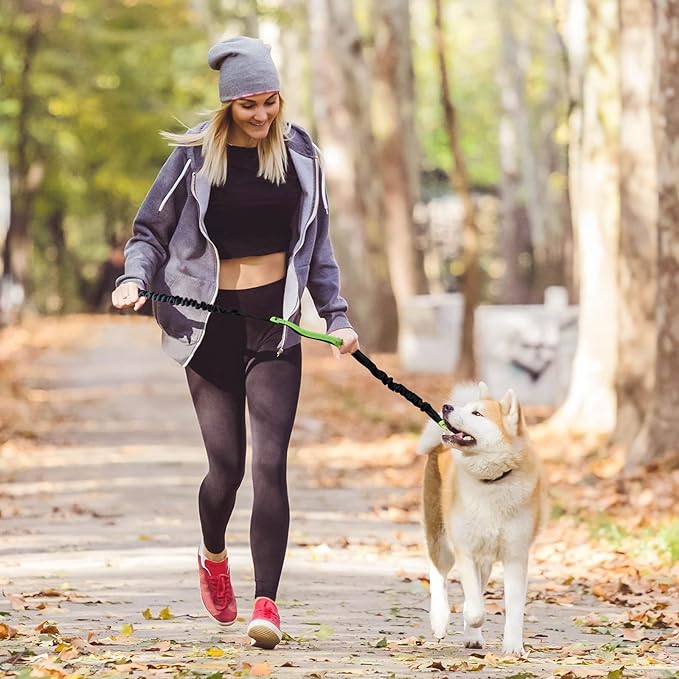 FlowLeash — Experience gentle control and relaxed walks without jerks! | Kalsten