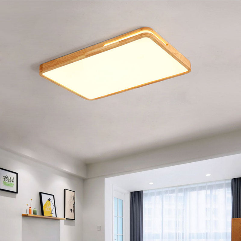 Contemporary LED Ceiling Fixture
