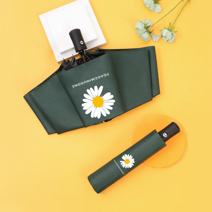 Women compact umbrella Kalsten
