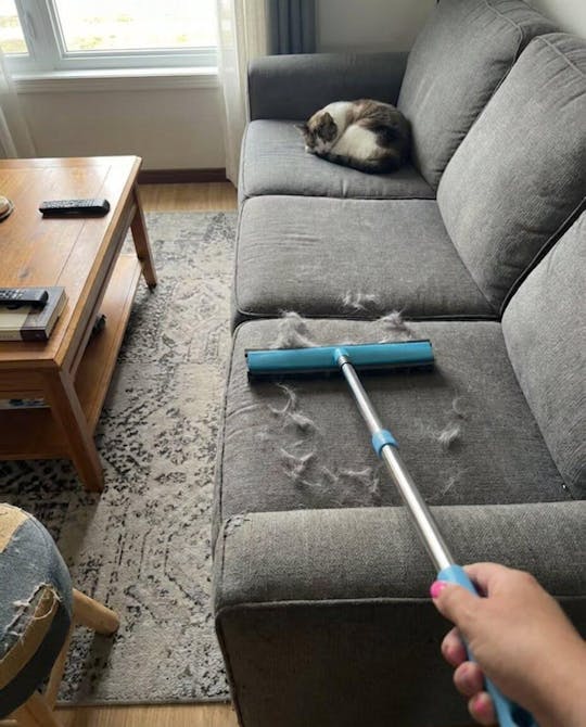 Pet hair remover broom with telescopic handle | Kalsten