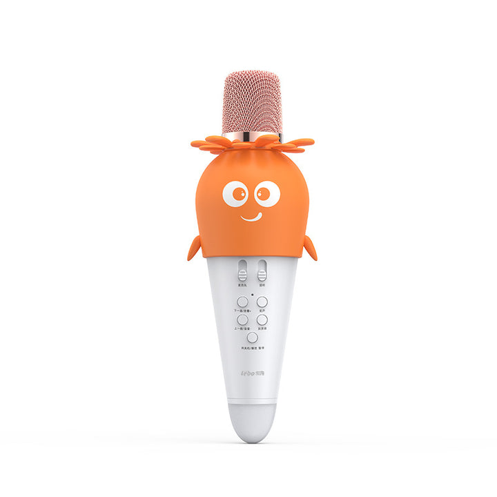 Children's Fun Karaoke Microphone Kalsten