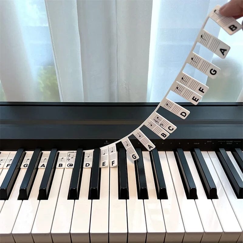 Kalsten | Removable Piano Keyboard Note Label