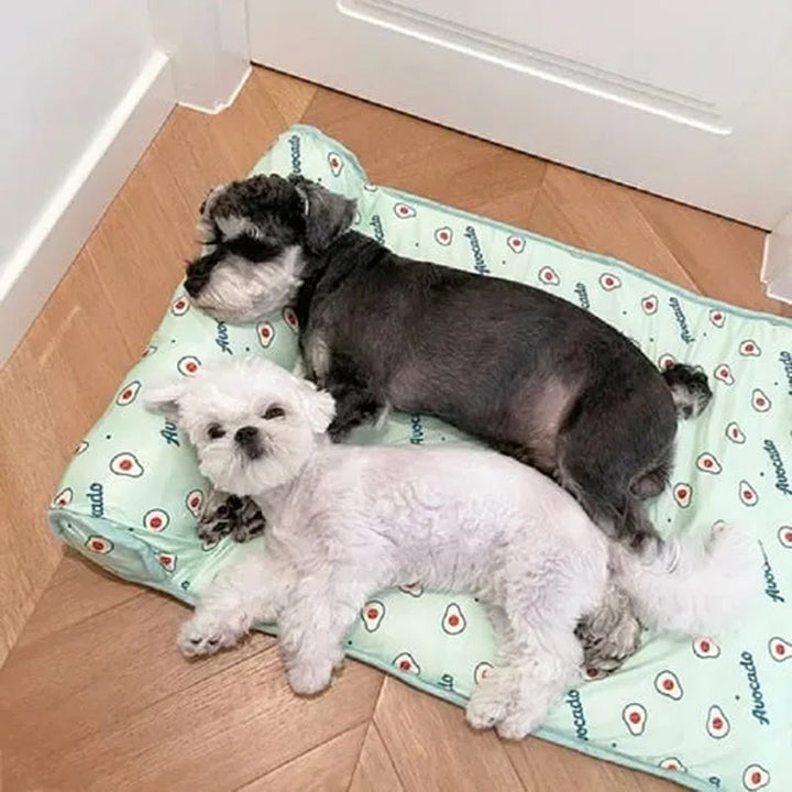 Cooling mat in ice silk for dogs and cats | Kalsten