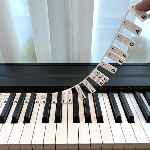 Kalsten | Removable Piano Keyboard Note Labels