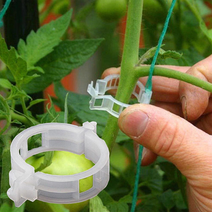 Practical Plant Support Clip | Kalsten