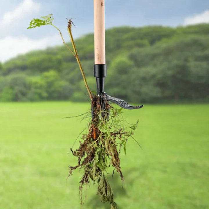 Noxord | Stainless steel adjustable long handle detachable weeder