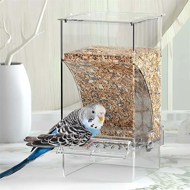 Automatic, leak-proof bird feeder | Kalsten