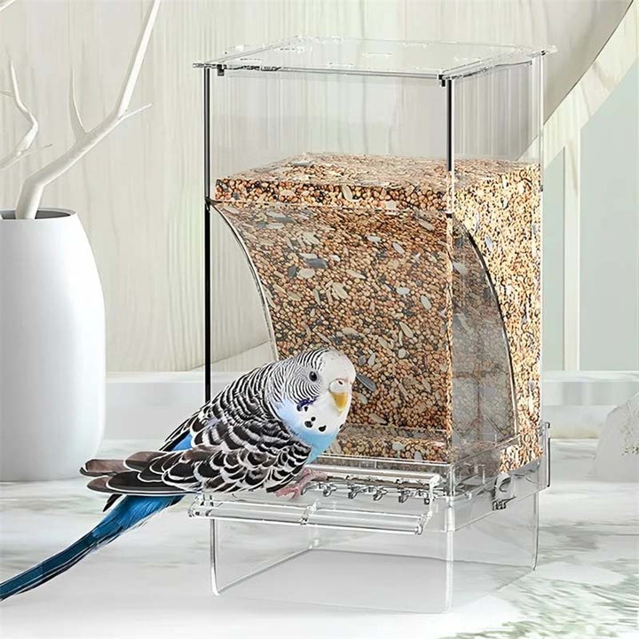 Automatic, leak-proof bird feeder | Kalsten