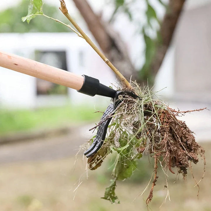 Noxord | Stainless steel adjustable long handle detachable weeder