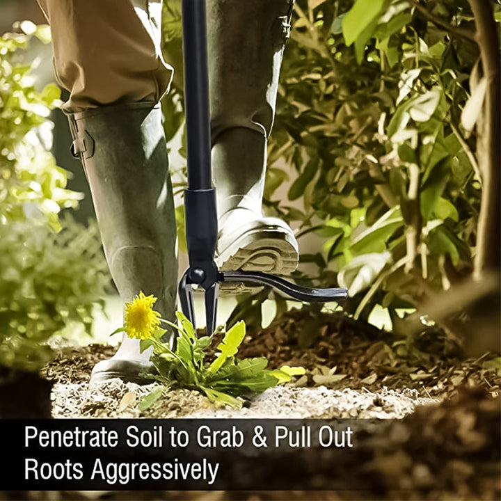 Noxord | Stainless steel adjustable long handle detachable weeder