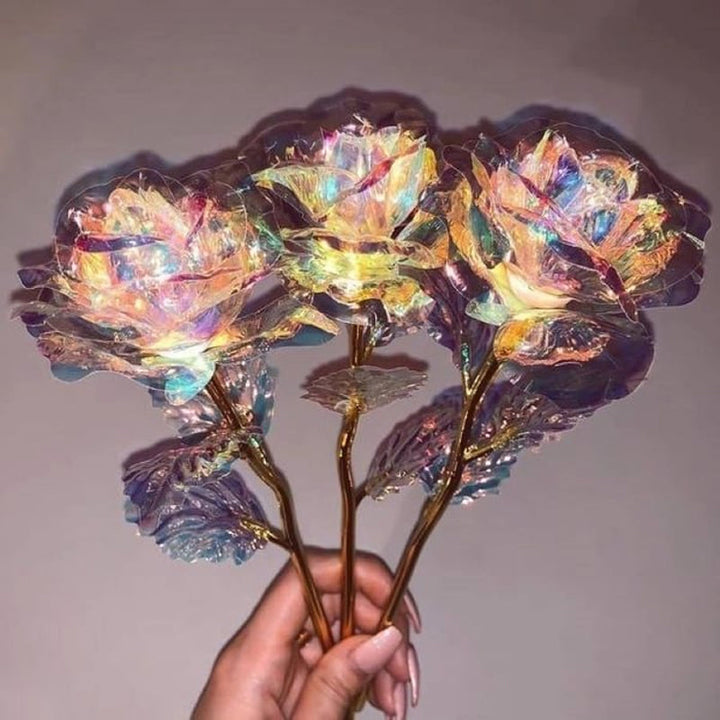 Kalsten | Shiny Sleeping Rose Valentine's Day