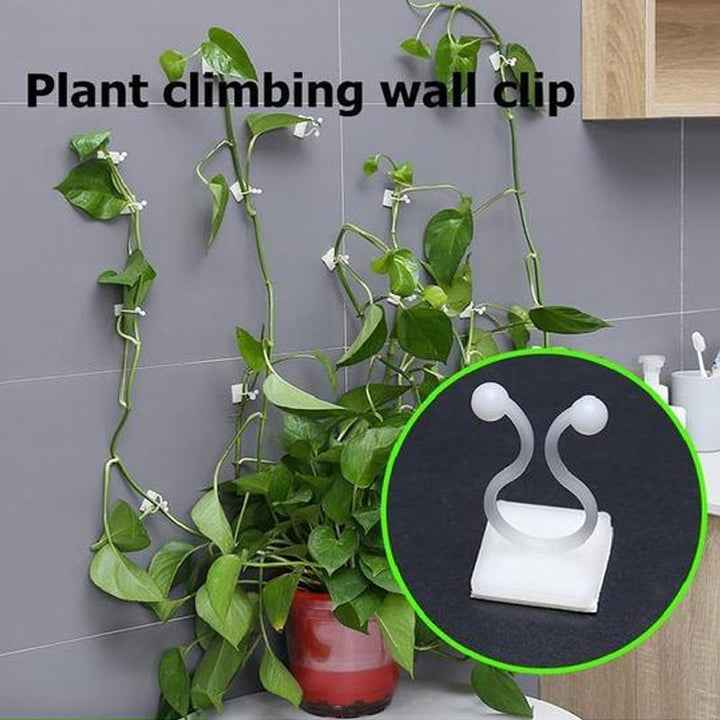 Wall Clips for Climbing Plants (30 pieces) | Kalsten