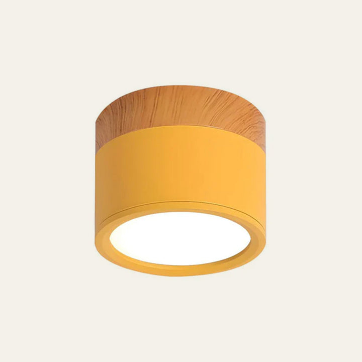 Modern Cylinder LED Flush Mount Ceiling Lamp Noxord