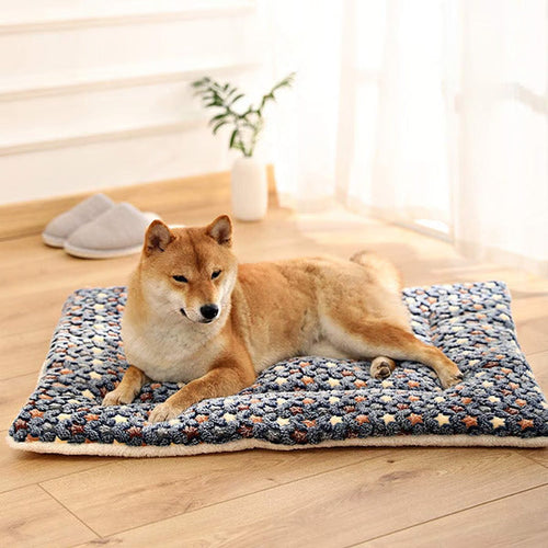 Plush Washable Dog Blanket Pet Cushion Noxord