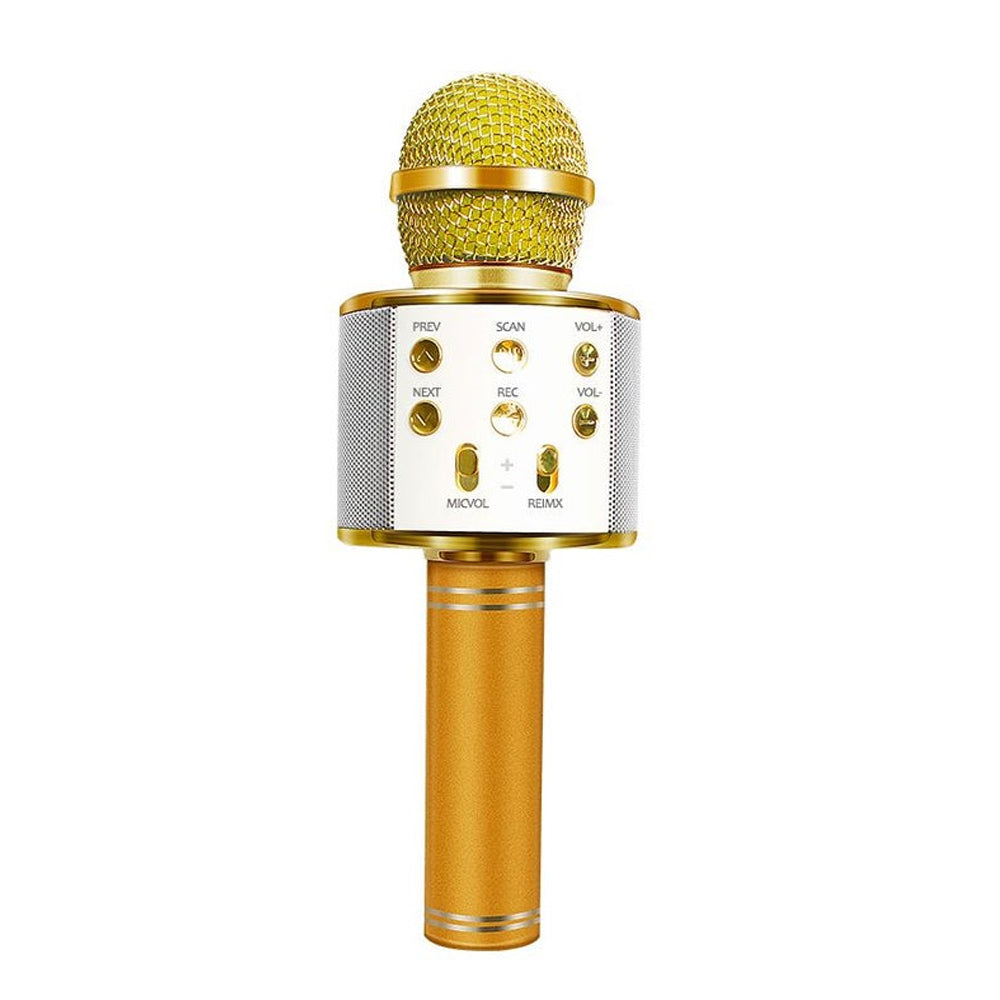 Rechargeable Bluetooth Karaoke Microphone