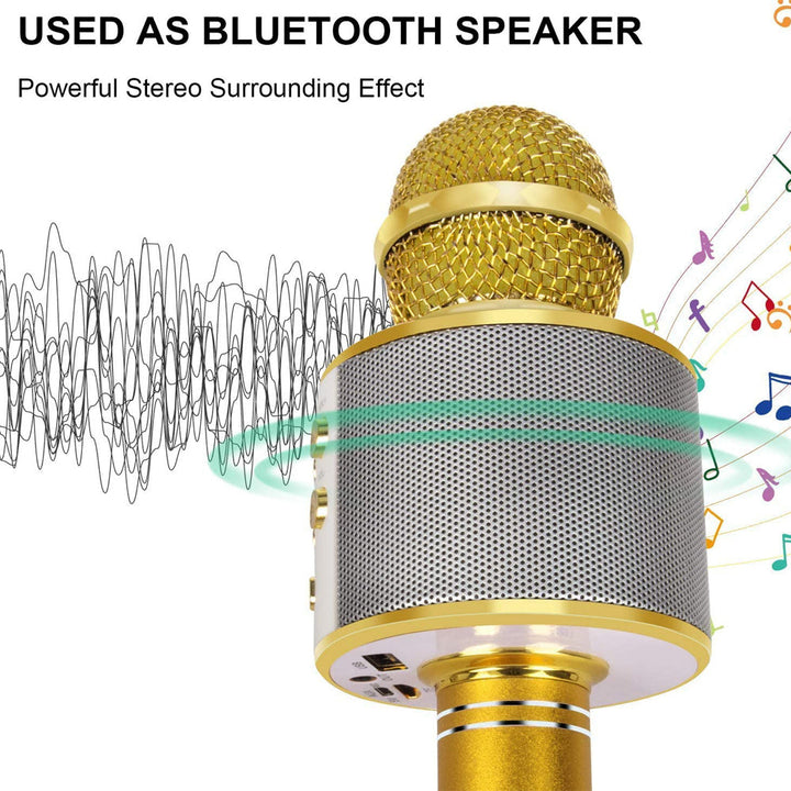 Kalsten | Rechargeable wireless Bluetooth karaoke microphone