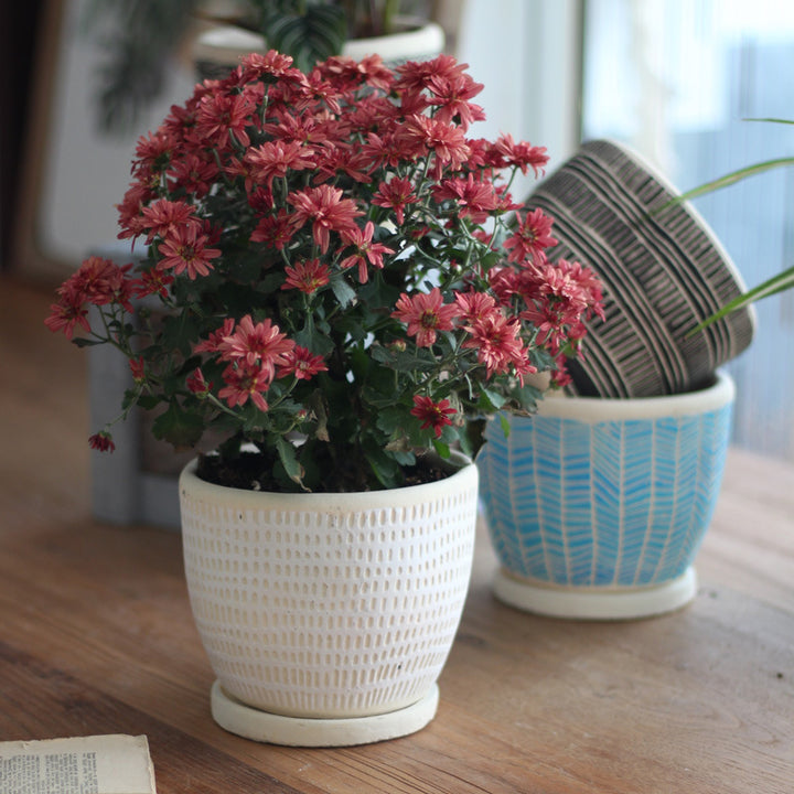 Decorative plant pot Kalsten